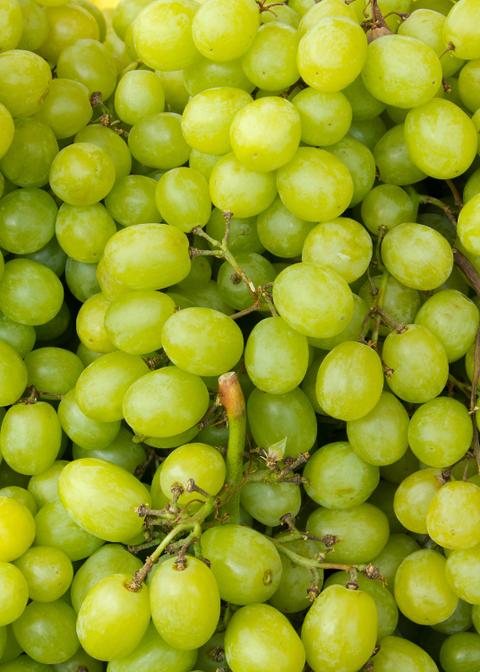 Raisin Blanc Bio - 500g
