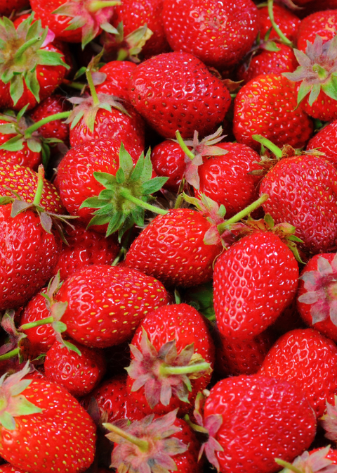 Fraise Bio - 250g