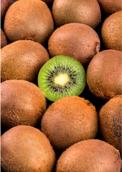 Kiwi Bio - 5 pièces