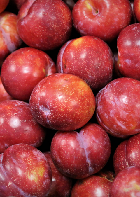 Prune Rouge Bio - 500g