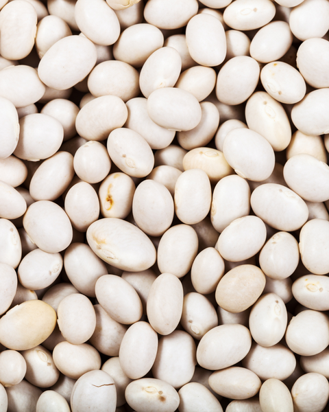 Haricots blancs secs* bio - 500g