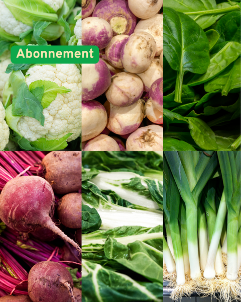 Panier de légumes 100% bio
