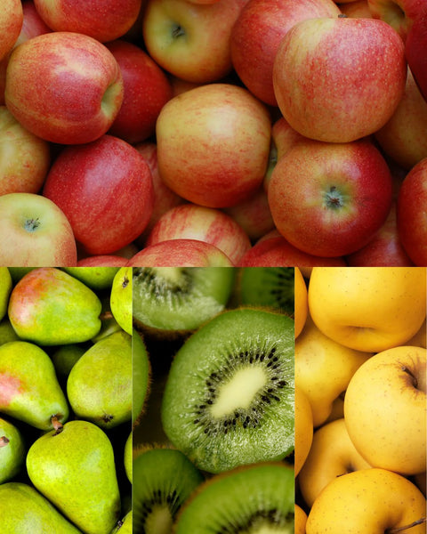 Mes fruits de saison