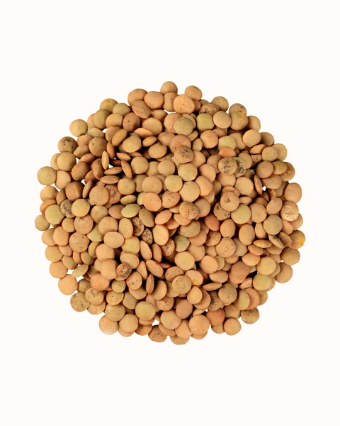 Lentilles Vertes Bio - 500g